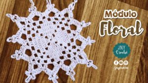 modulo floral modulo floral
