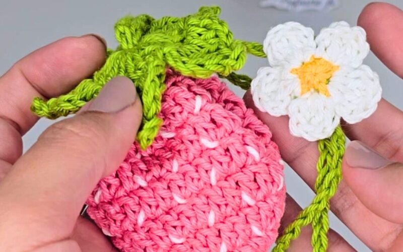 Web Stories - Bolsa de crochê Morango do amor fácil e rápida linda1 (3)
