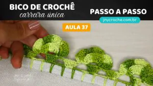 BICO DE CROCHÊ COM FLOR CARREIRA ÚNICA Aula 37